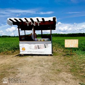 TNT Berries the best place to pick your own blueberries in Perth County