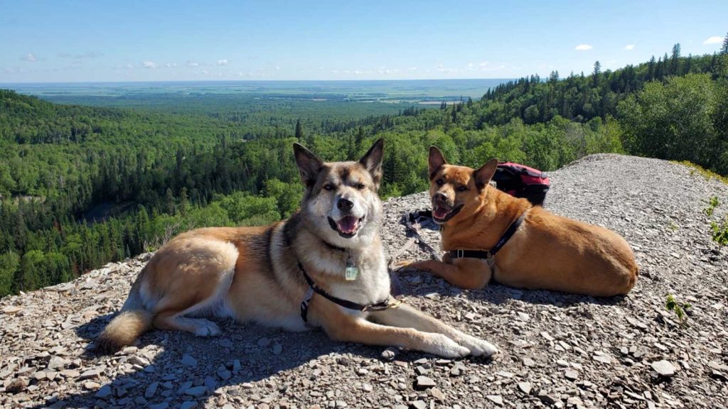 Top Hiking Trails to explore in Manitoba