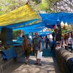 Roguetrippers Multi-generational travel tips