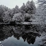 Beautiful frosty scenery is one of the many joys of going for a winter hike