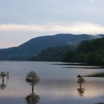 Road Trip Mistakes to avoid - Roguetrippers