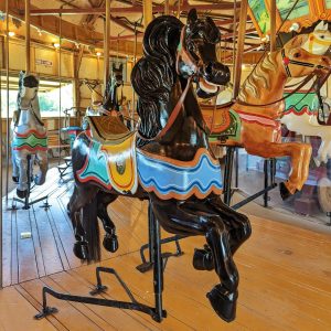 Vintage Carousels of America