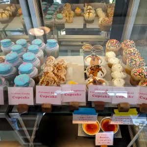 Cupcakes and Cookies