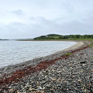 Best Beaches near Halifax and south shore