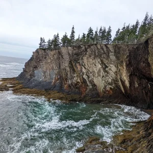 The Ovens Natural Park