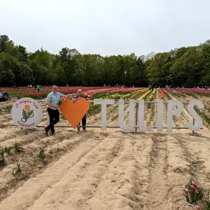 JP Niagara Tulip Experience makes for a great ontario Day Trip experience