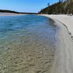 There are many beaches near halifax to visit during a day trip adventure