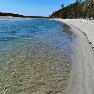 There are many beaches near halifax to visit during a day trip adventure