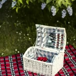 Roguetrippers planning a road trip picnic