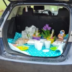 Roguetrippers plan a road trip picnic