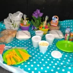 Roguetrippers tips for planning a picnic for your next road trip vacation