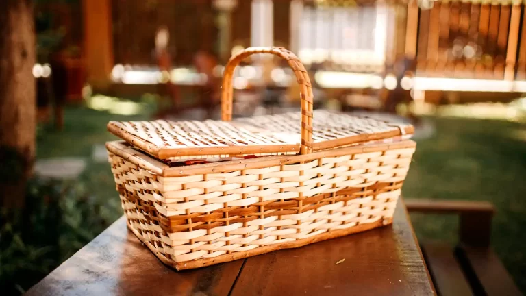 Roguetrippers - planning a road trip picnic