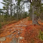 Best Hiking Trails in Nova Scotia. Best Day Trip ideas Halifax