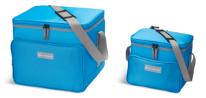 https://www.canadiantire.ca/en/pdp/outbound-picnic-combo-soft-cooler-blue-2-pc-0853718p.0853718.html?rq=picnic#srp