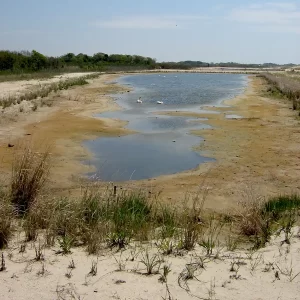 The Jersey Shore Natural areas