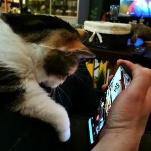 Planning for Pet Care when you go on vacation