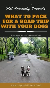 Planning Petcare when you go on vacation Roguetrippers What to Pack for a Road Trip With YOur Dog
