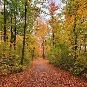 Snacks to pack for a Hike