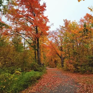The Best Ontario Day Trip Ideas to take in Autumn