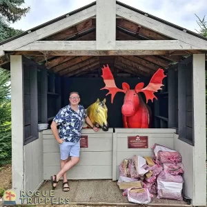 cute places to take a day trip in Ontario for the best markets