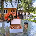 Road Trip through the Country to find the best butter tarts in Ontario