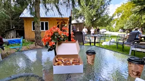 Road Trip through the Country to find the best butter tarts in Ontario