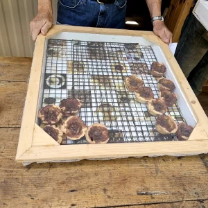 Best Butter Tarts in Puslinch Ontario