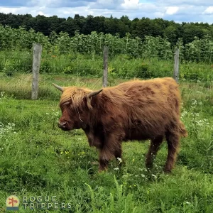 Ontario's best Farm Markets Worth Visiting on a Day Trip