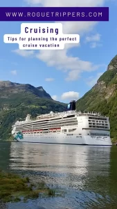 Roguetrippers Cruising tips for beginners