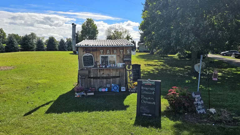 Roguetrippers butter tart quest The Tart Shack Belgrave Ontario