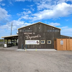 Dyment's Butter Tart in Both Hands