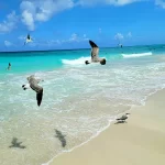 Key Factors to look for when booking vacation