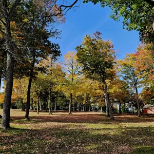 Best Autumn Road Trip Ontario