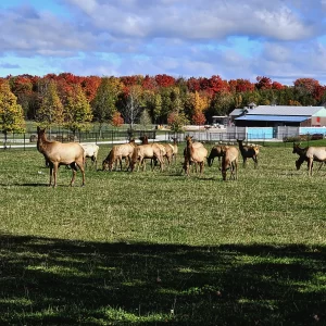 What to Pack For an Autumn Road Trip
