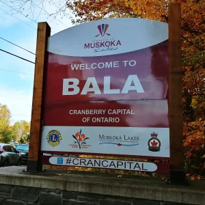 best Festivals to attend in Ontario