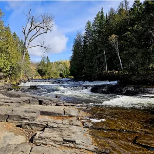 Best Places to see Autumn Leaves