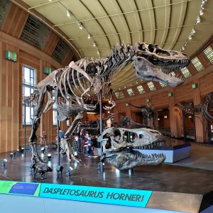 Natural History Museum