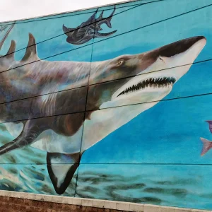 Shark Mural Newport aquarium