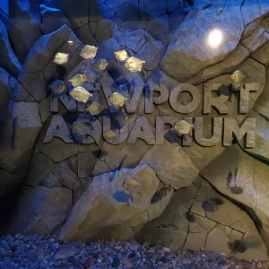 Best aquariums to visit in AMerica