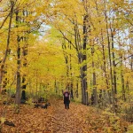 Roguetrippers - tips for hiking