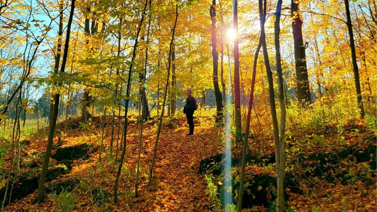 Roguetrippers Travel Blog Hiking Etiquette Tips Greg Bellefontaine