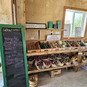 Best small Farm shops in Midland Ontario