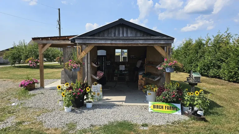Butter Tart Quest - Best Butter Tarts in Ontario Roguetrippers