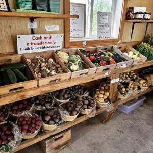 Farm Fresh Produce Simcoe Count