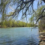 Merritt Island Park welland Canal.